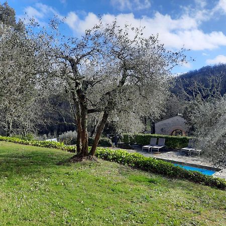 Borgo Livernano Radda in Chianti Kültér fotó