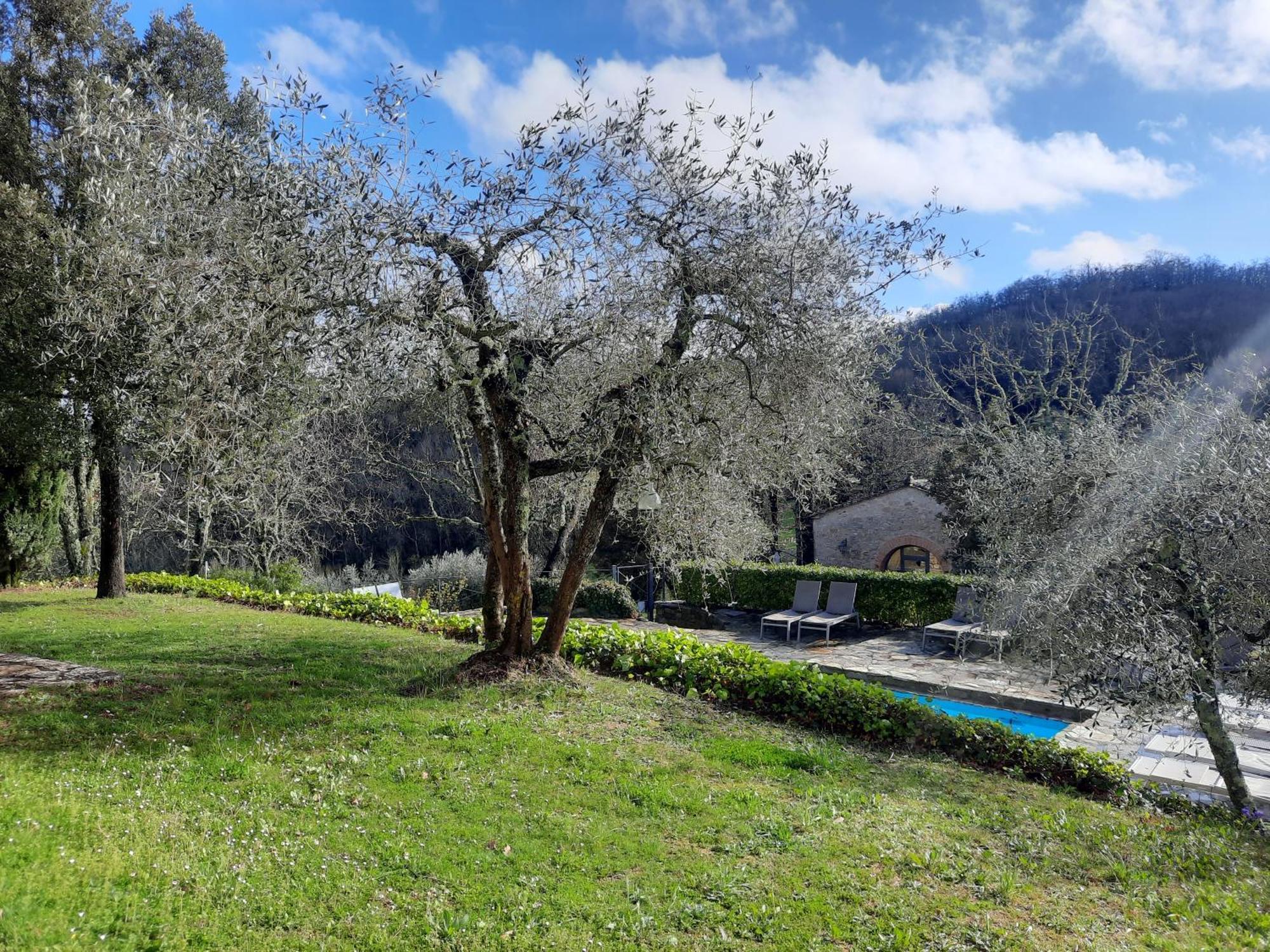 Borgo Livernano - Farmhouse With Pool Radda in Chianti Kültér fotó